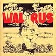 Walrus