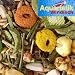 Alleinfutter f�r Meerschweinchen von Rosenl�cher.
Inhaltsstoffe :
Pellets, weizen, 
Hafer,Alfalfa-Heu, Johannisbrot, maiskroketten in Bohnenform, Ringos, bohnenflocken, 
Sonnenblumenkerne, erdn�sse, Weizenflocken, Vitamin C
Diese ausgewogene Kombination des 
Meerschweinchenfutters sorgt f�r ein gl�nzendes Fell und ein sch�nes Streichelgef�hl.
Diese 
ausgewogene Kombination des Kaninchenfutters sorgt f�r ein gl�nzendes Fell und ein sch�nes 
Streichelgef�hl.#
�berzeugen Sie sich doch selbst. 
Inhalt: 1 x 20 kg Sack
