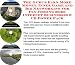 Book The Guru's Earn More Money, Inner Game and Biz Networking for Fly Fishing Rods Internet Businesses 3 CD Power Pack