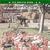 The English Hymn 4 - All Things Bright and Beautiful (Hymns For Children)