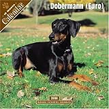 \"Dobermann