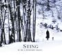 If On A Winter's Night [Amazon.com Exclusive CD/DVD Deluxe Edition]