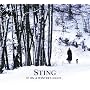 If On A Winter's Night [Amazon.com Exclusive CD/DVD Deluxe Edition]