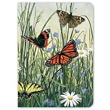 Tree-Free Greetings Butterfly Meadow, 160 Page Recycled Paper and Sugarcane Journal, 5.5 x 7.5 x 0.75 Inches, Shades of Green, Orange, Yellow (21024)