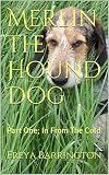 Merlin The Hound Dog: Part One; In From The Cold