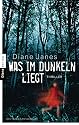 Was im Dunkeln liegt: Thriller