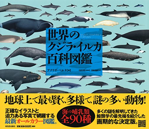 世界のクジラ・イルカ百科図鑑