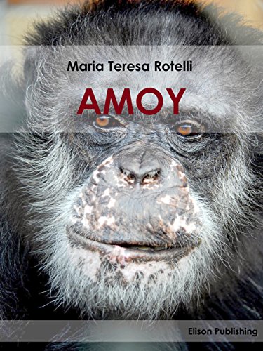 Amoy (Italian Edition)