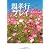 親孝行プレイ (角川文庫)