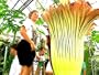 Garden Giants: Still Growing