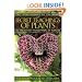 The Secret Teachings of Plants: The Intelligence of the Heart in the Direct Perception of Nature