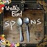 Bild des Albums von Wallis Bird