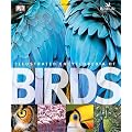 The Illustrated Encyclopedia of Birds