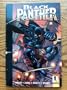 Black Panther: Enemy Of The State TPB