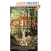 A Brief History of the Celts