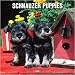   - Schnauzer Puppies Wall - 2008 Calendar