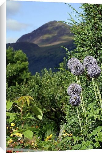 Canvas Prints of Glenlyon House from Country Life Canvas Prints of Glenlyon House from Country Life