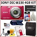 Sony Cyber-shot DSC-W230/R 12.1 MP Digital Camera in Red + Deluxe 4GB Accessory Kit
