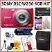 Sony Cyber-shot DSC-W230 12 MP Digital Camera with 4x Optical Zoom and Super Steady Shot Image Stabilization (Dark Red) + Deluxe 4GB Accessory Kit