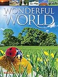 Wonderful world