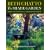 The Shade Garden: Shade-loving Plants for Year-round Interest