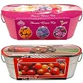 Buzzy Disney Cars And Princess Kids' Grow Kits Set of 2