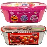 Buzzy Disney Cars And Princess Kids' Grow Kits Set of 2
