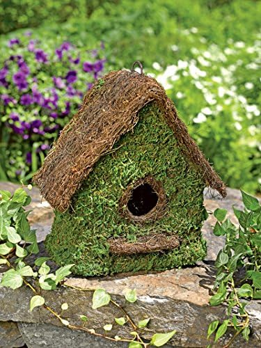 Moss Maison Bird Shelter