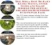 The Mega How To Earn Extra Money, Inner Game and Sales Models for Acrylic Aquariums Businesses 3 CD Power Pack
