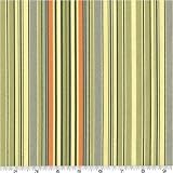 Amy Butler Lotus Oxford Stripe Green