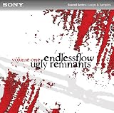 Ugly Remnants: Volume One