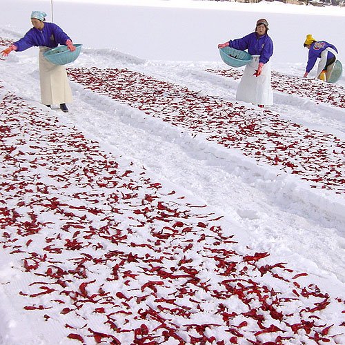 �ڱ۸塦����ۡ��ڤ��󤺤�ۡ����ڿ�˭���ʹ��Ĵ̣�������󤺤ꡡ������