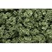 Woodland Scenics Light Green Bushes Clump-Foliage (32 oz. Shaker)