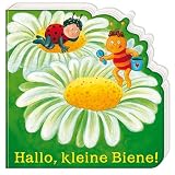 Hallo, kleine Biene! - Sabine Aubeli