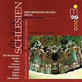 Silesian Organ Landscapes [IMPORT]
