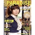 声優ＰＡＲＡＤＩＳＥ ｖｏｌ．０６（２０１１）<br>1680円<br>ISBN:9784813081234　