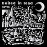 Image of album by Boiled in Lead