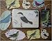Cavallini Decorative Gift Tags- Birds
