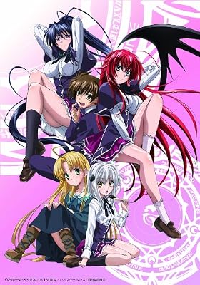 ハイスクールD×D　13　Blu-ray付き限定版