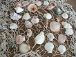 Fischernetz natur 400 x 200 cm & GROSSER Muschelkorb