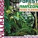 Villa-Lobos: Forest of the Amazon