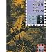 Histoire d'un ruisseau