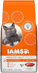 45 Persian Cats Favorite Food Photography