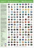 Edelsteine Heilsteine Poster. Steine Poster Groß DIN A1 mit 153 Steinen.