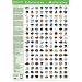 Edelsteine Heilsteine Poster. Steine Poster Gro� DIN A1 mit 153 Steinen.