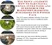 Book The Down and Dirty How To Earn Extra Money, Inner Game and eCommerce for Badminton Racquets Businesses 3 CD Power Pack