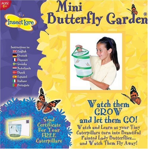 Childrens Toyshop  Toys : Mini Butterfly Garden