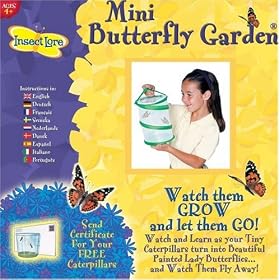 Mini Butterfly Garden