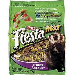 Kaytee Fiesta Max Treats for Ferrets, 2-1/2-Pound