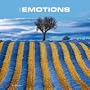 Emotions 2010 Wall Calendar X116